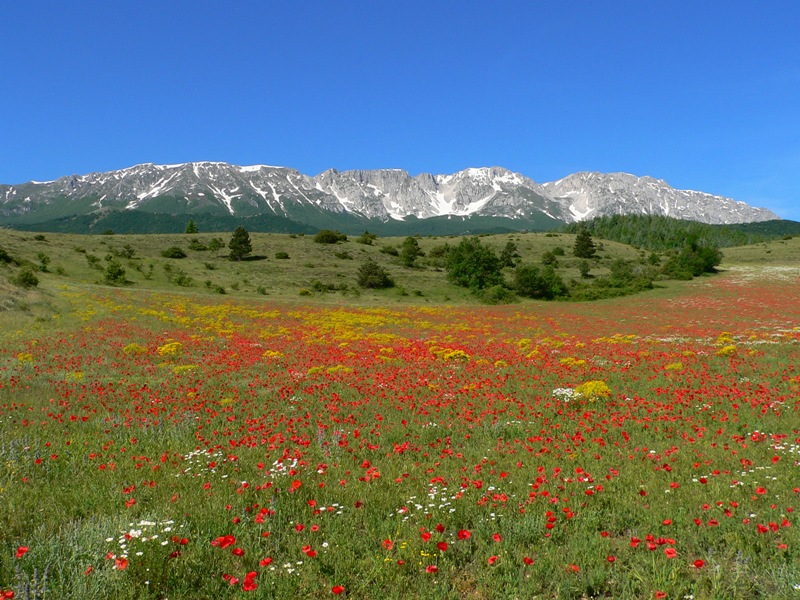 Immagini dall''abruzzo